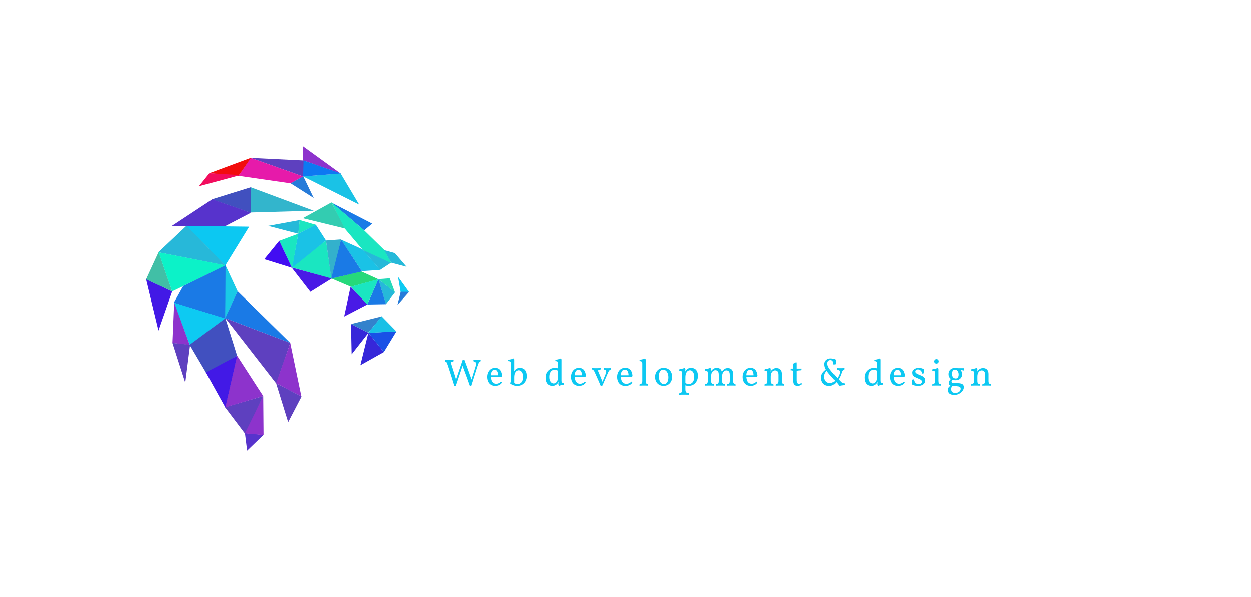 C.E.M. Portfolio